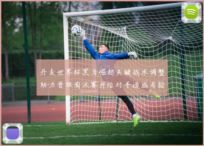 丹麦世界杯黑马崛起关键战术调整助力晋级淘汰赛并给对手造成考验