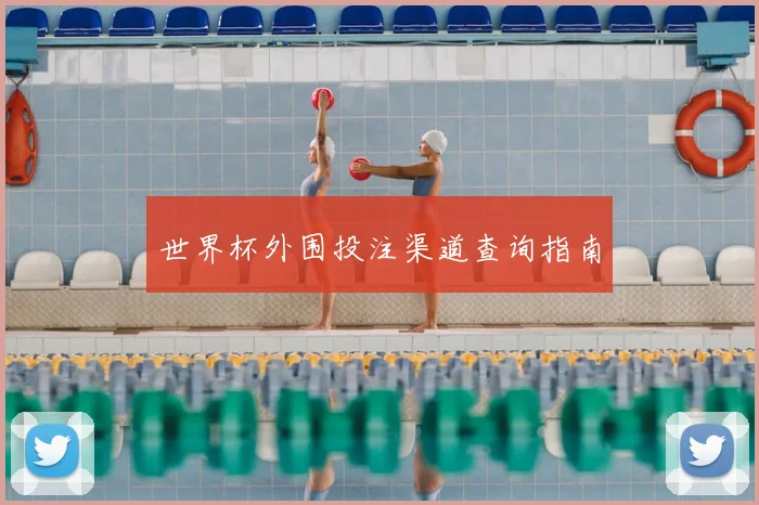 世界杯外围投注渠道查询指南