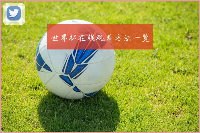 世界杯在线观看方法一览